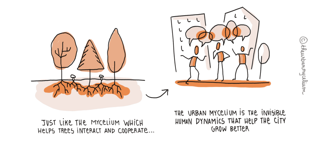The urban mycelium - The Urban Mycelium